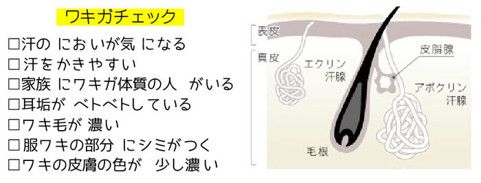 ワキガチェック